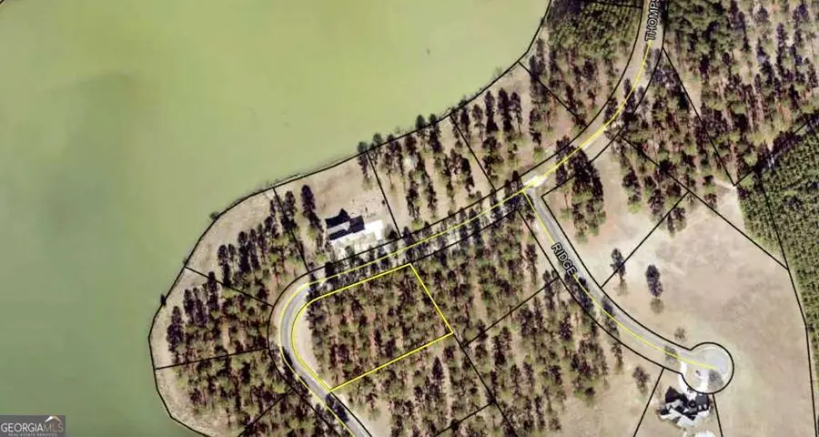 600 Thompson Level Road, Lyons, GA 30436 - #3