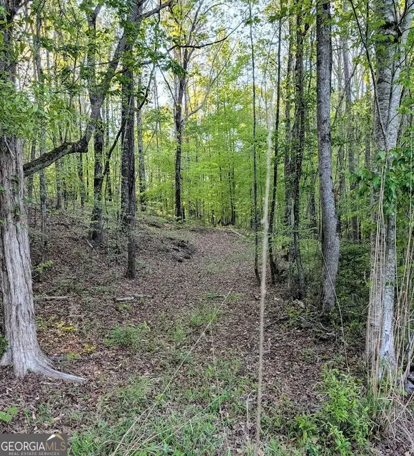 0 Ga Hwy 116, HAMILTON, GA 31811