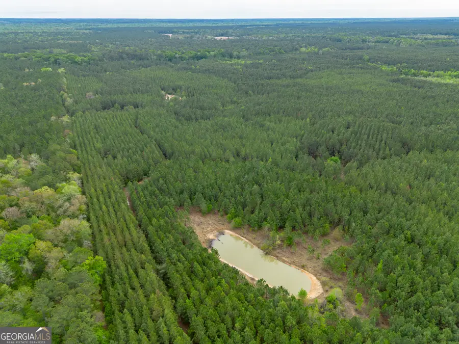 0 Highway 129, Abbeville, GA 31001 - #3