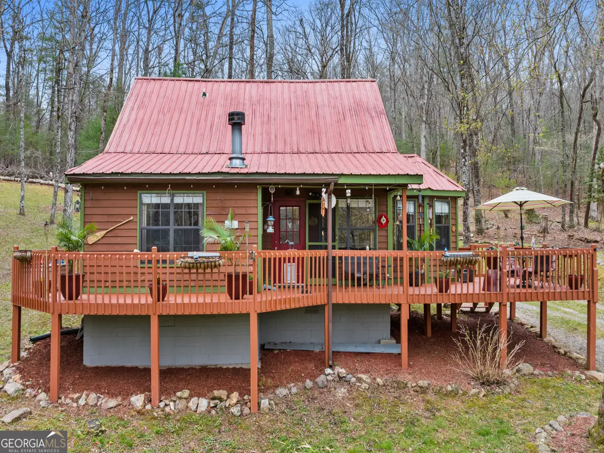 541 Black Ankle Creek Road, Cherry Log, GA 30522 - #1