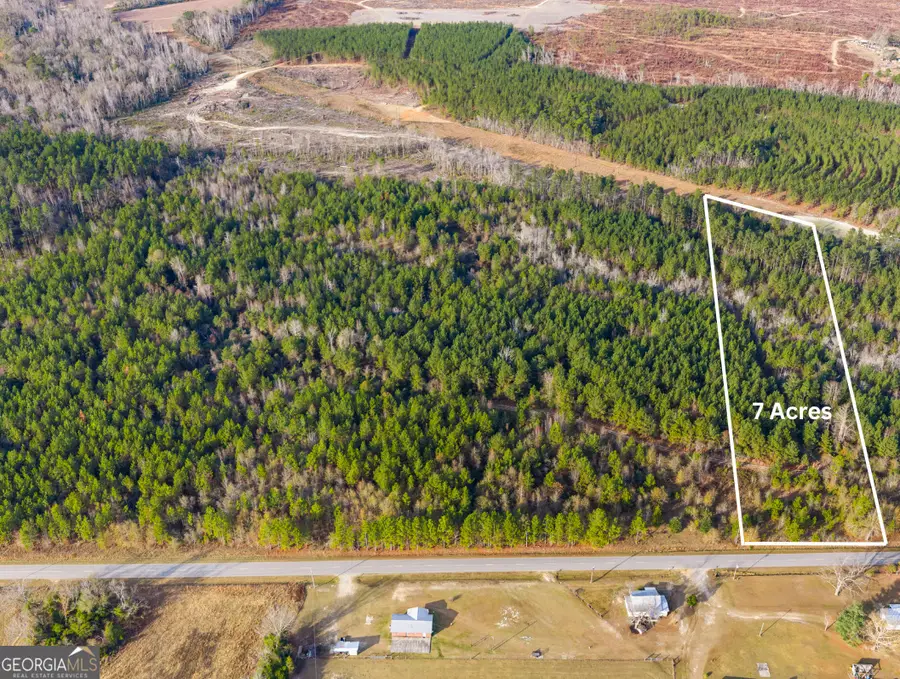 0 Quick Road #7-ACRE TRACT, Swainsboro, GA 30401 - #2
