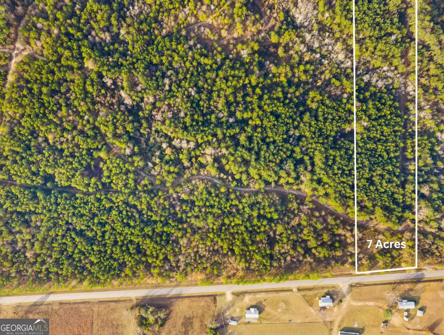 0 Quick Road #7-ACRE TRACT, Swainsboro, GA 30401 - #3