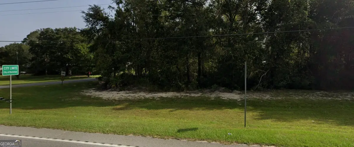 0 Highway 121/ Whispering Pines Trail, Blackshear, GA 31516 - #1