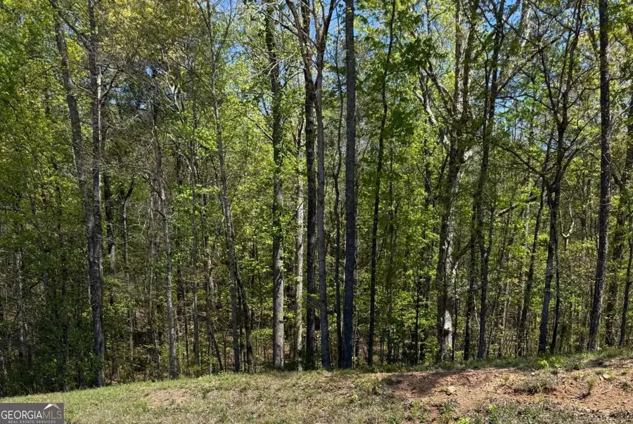 0 Us Hwy 27, Bremen, GA 30110 - #2