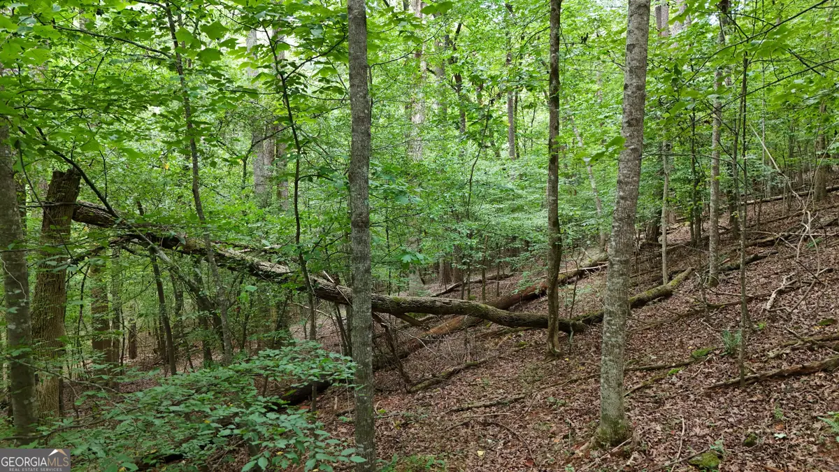 LOT 16 Morris Trail, Cleveland, GA 30528 - #1