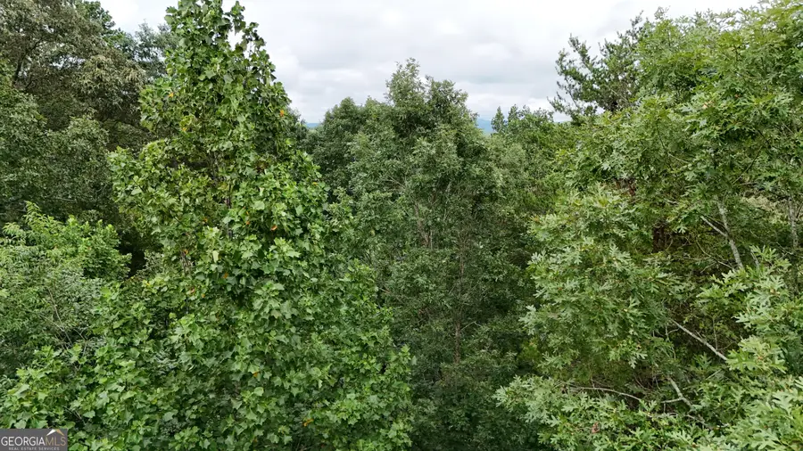 LOT 16 Morris Trail, Cleveland, GA 30528 - #3