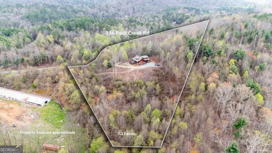 136 Pack Creek Road, Blue Ridge, GA 30513 - #3