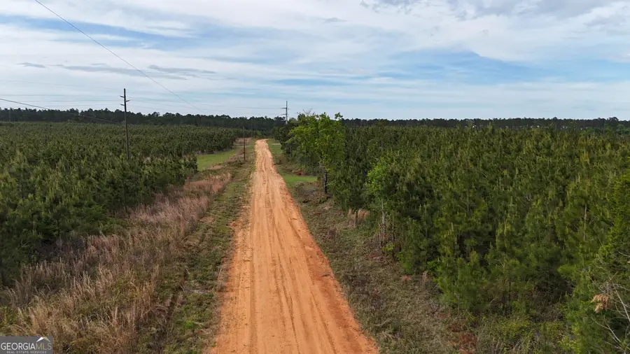 04 George Milling Rd, Cuthbert, GA 39840 - #3