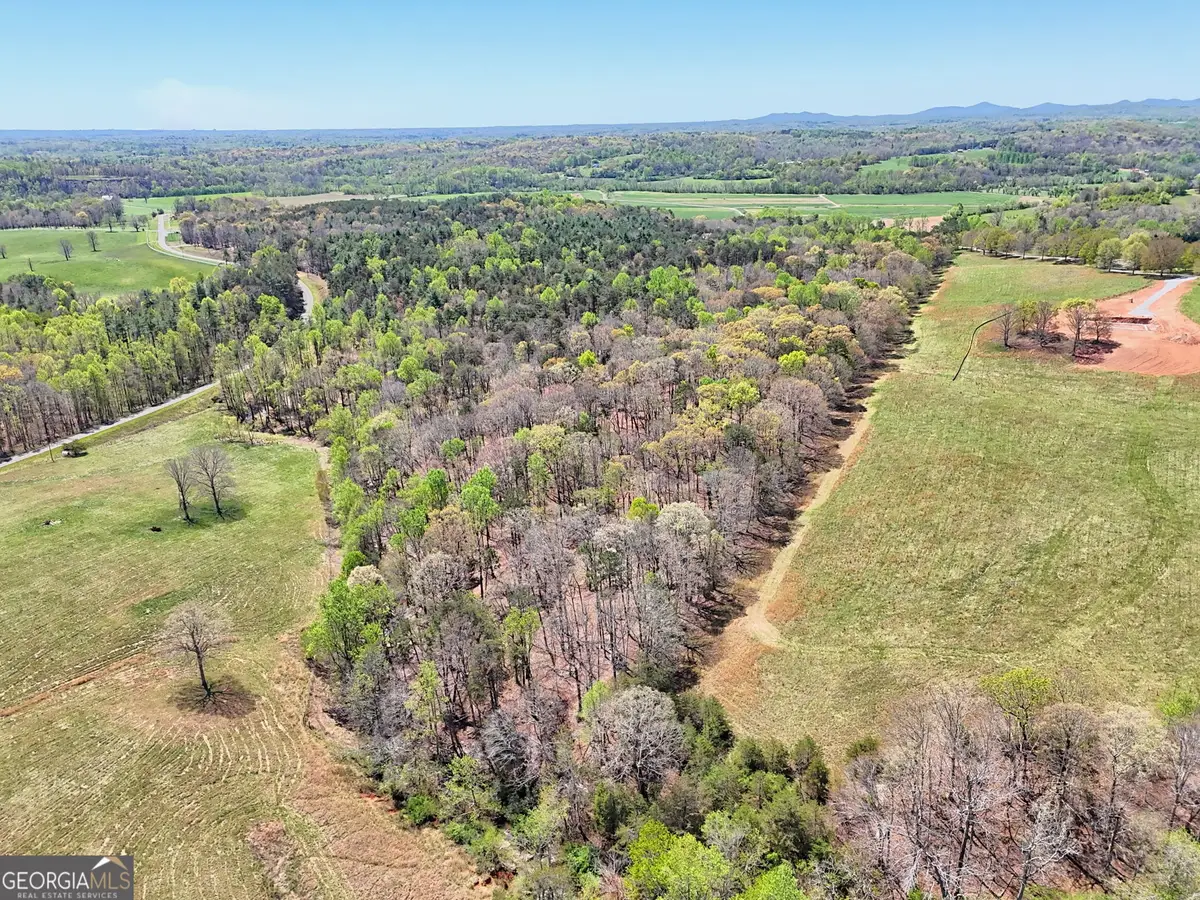 200 Annandale Drive, Clarkesville, GA 30523 - #1