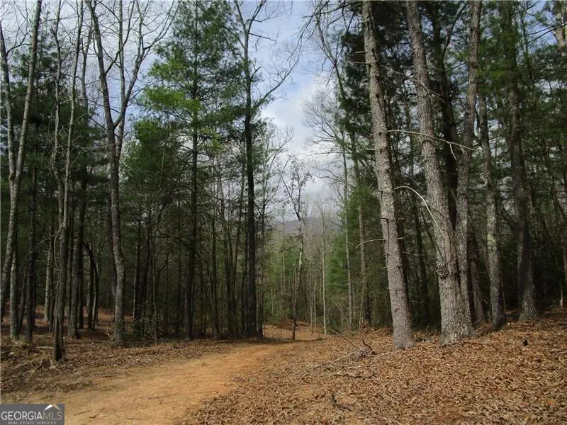 3 AC East New Hope Road, Ellijay, GA 30536 - #1