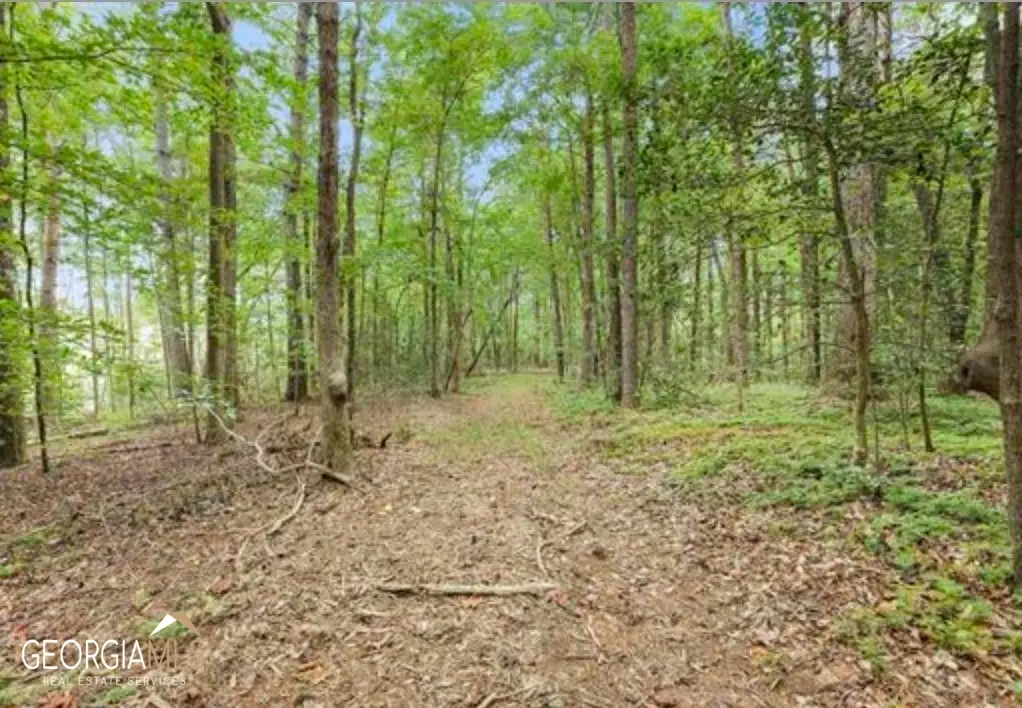 LOT 6 Parker Point, Cornelia, GA 30531 - #1