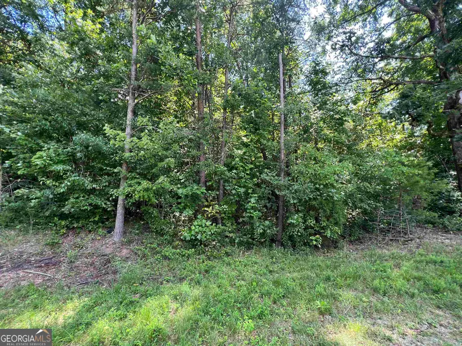 0 W Kytle Street, Cleveland, GA 30528 - #3