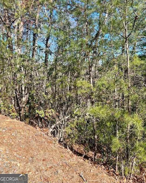 0 Rosen Strasse, Helen, GA 30545 - #2