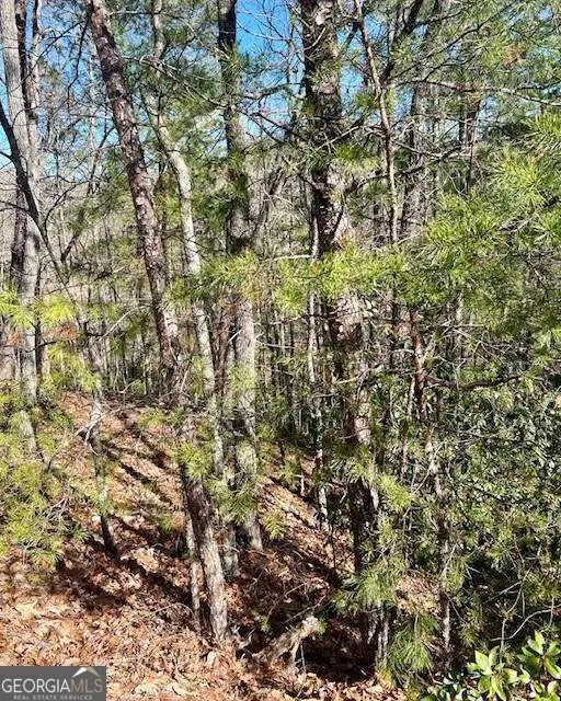 0 Rosen Strasse, Helen, GA 30545 - #3