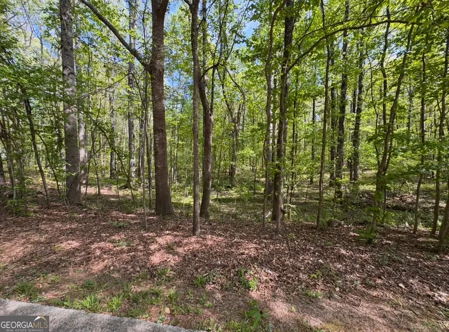 140 Emerald Lane, Fayetteville, GA 30214 - #3