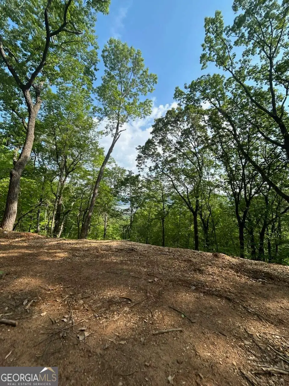 324 Adair Drive, Ranger, GA 30734 - #1