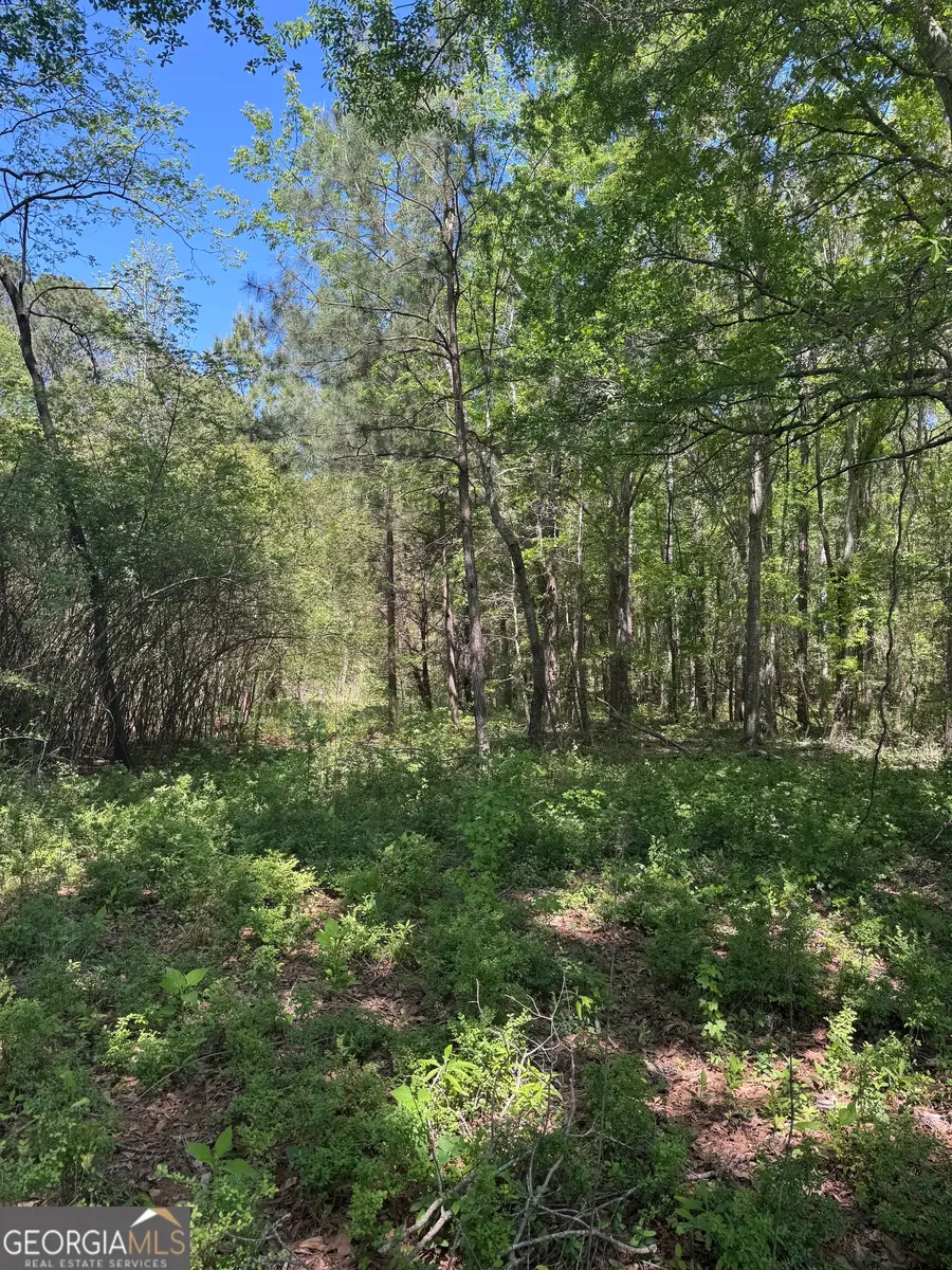 0 Roquemore Road #LOT 3, Athens, GA 30607 - #3