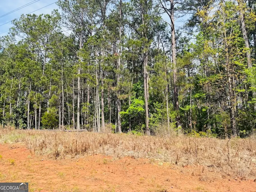 0 Whitesville/ Burkes Chapel Road, Lagrange, GA 30241 - #2