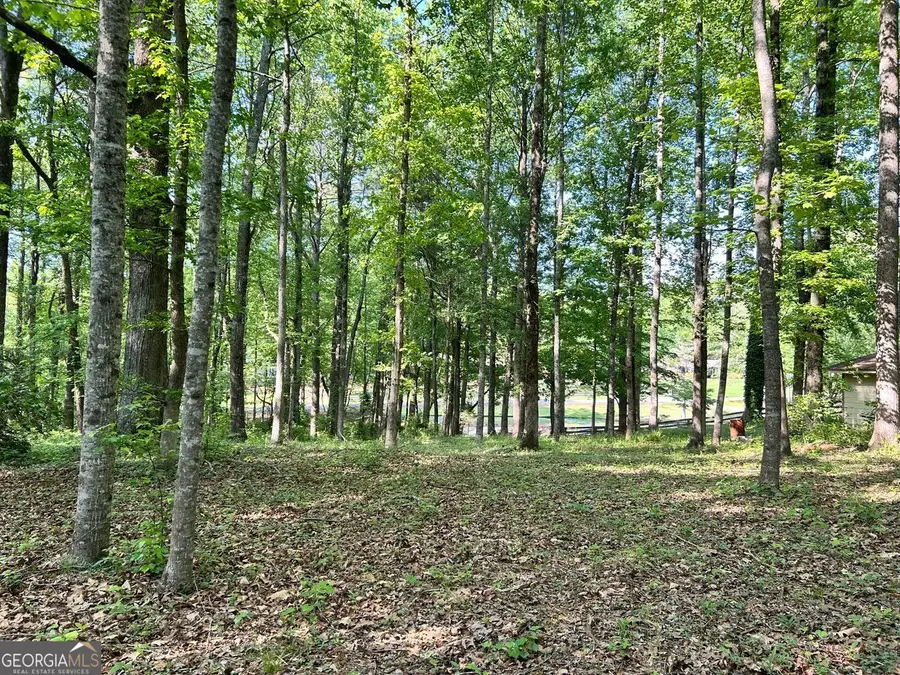 5219 Union Hill #3, Alpharetta, GA 30004 - #2