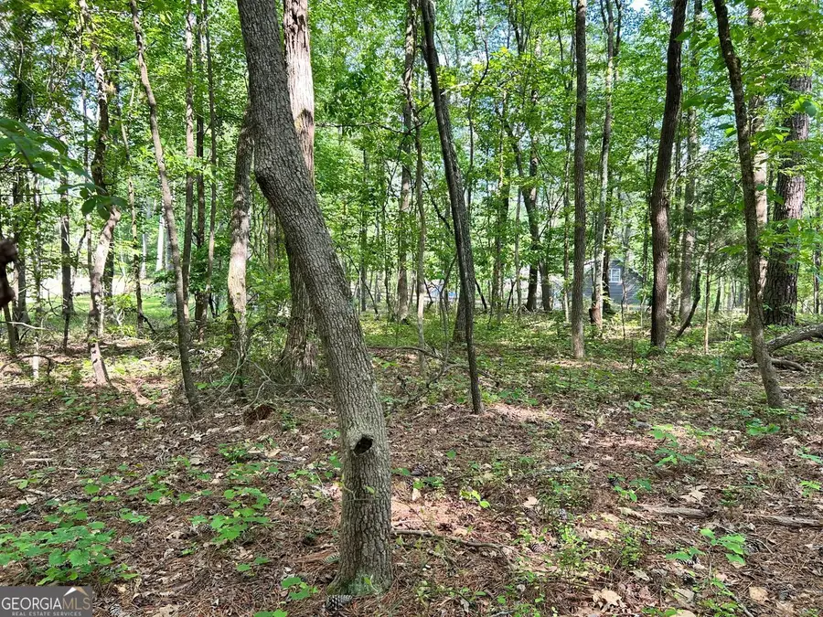 5219 Union Hill #3, Alpharetta, GA 30004 - #3