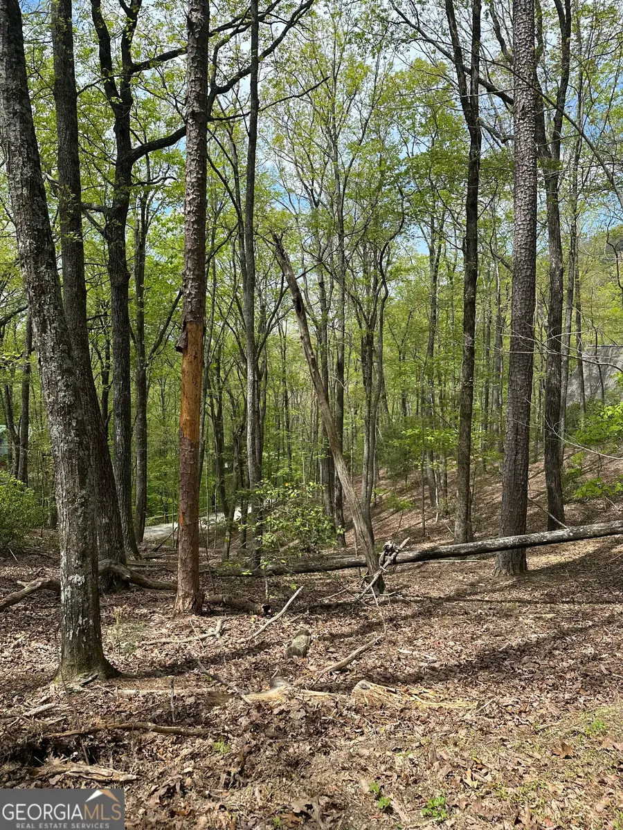 LT B87 Laurel Lane, Ellijay, GA 30536 - #3
