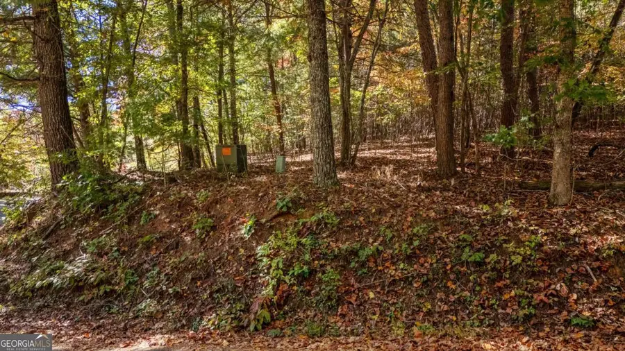 LOT 1 Twin Mountain Road, Hiawassee, GA 30548 - #3
