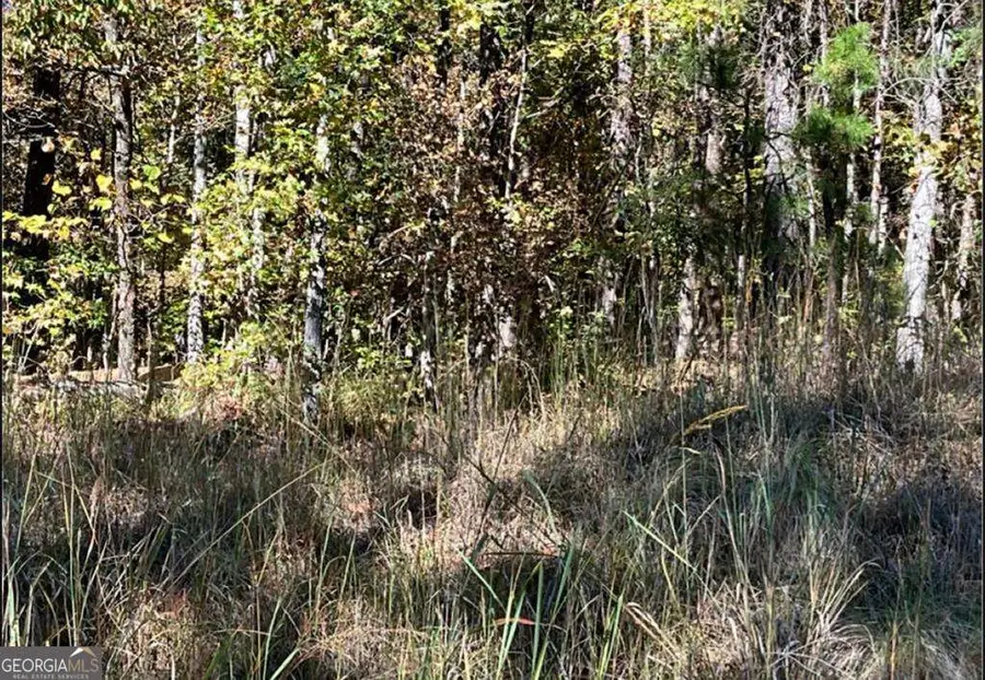0 Lakewood Drive, Sparta, GA 31087 - #3