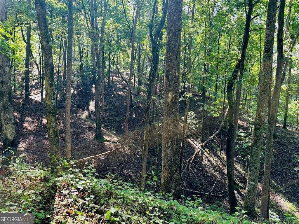 7.123 Acres Halls Mill Road, Dahlonega, GA 30533 - #1