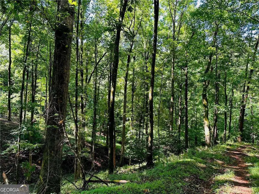 7.123 Acres Halls Mill Road, Dahlonega, GA 30533 - #3