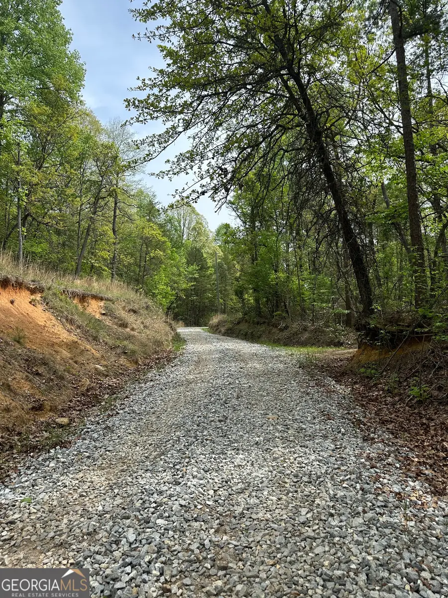 0 Soapstone Road, Banks, GA 30511 - #3