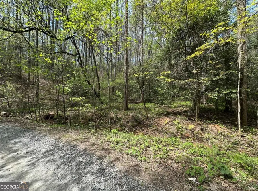 LOT 20 Big Ben Road #20, Ellijay, GA 30540 - #2