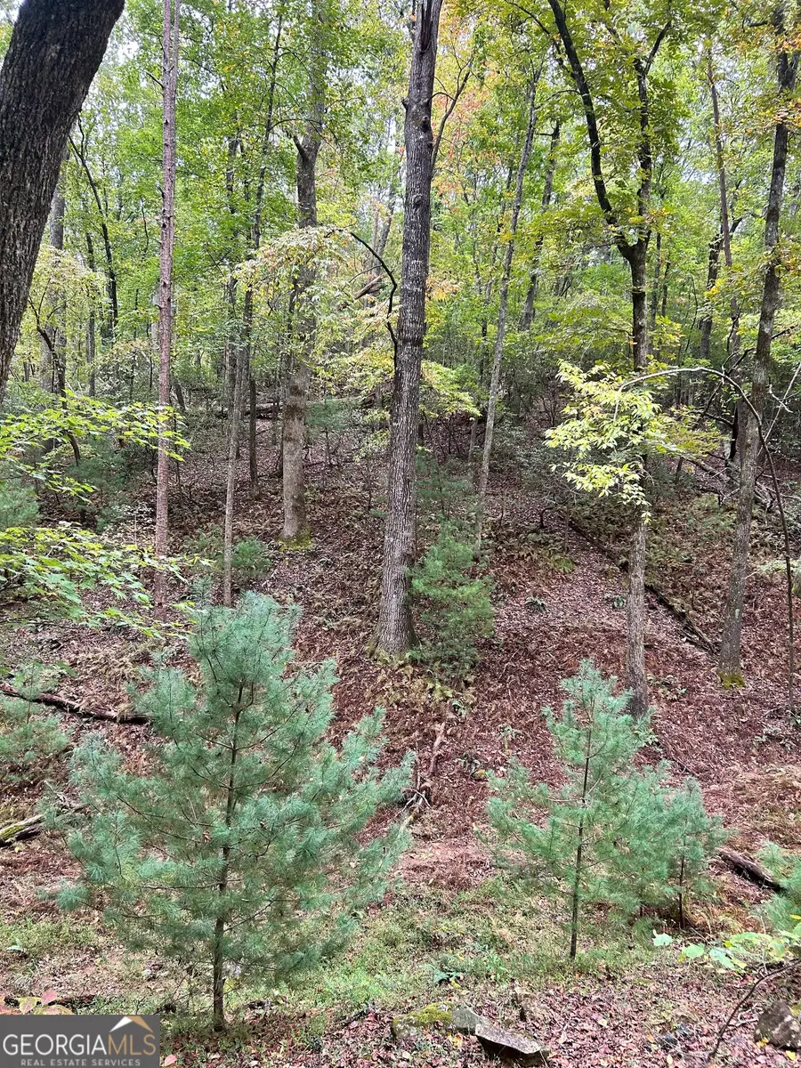 0 Lower Gap Road #W16, Sautee Nacoochee, GA 30571 - #2