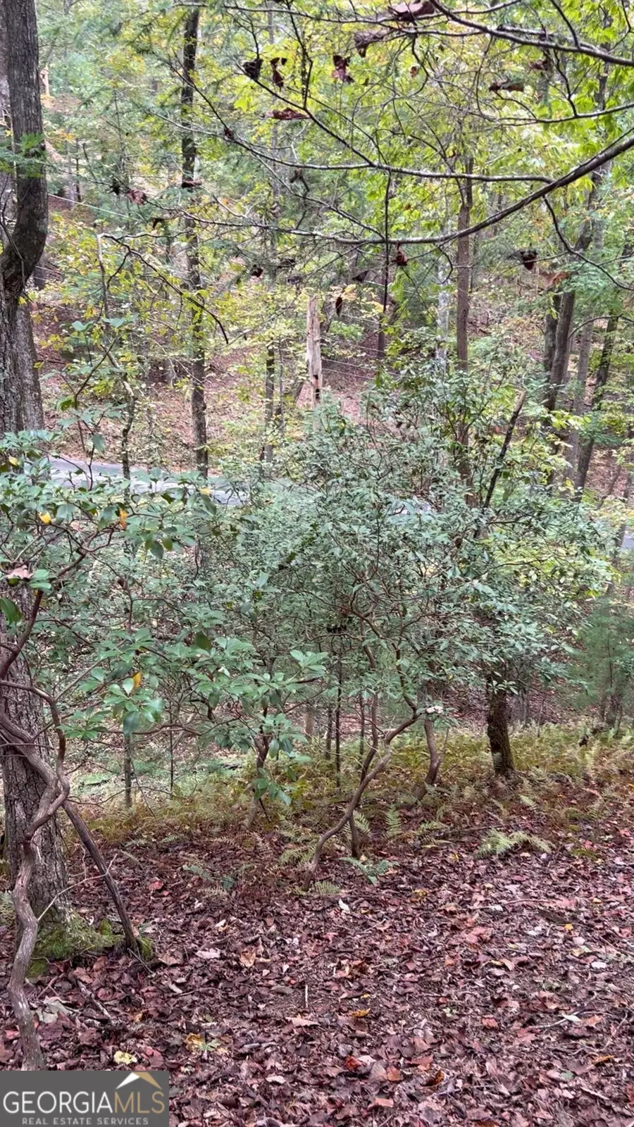 0 Lower Gap Road #W16, Sautee Nacoochee, GA 30571 - #3