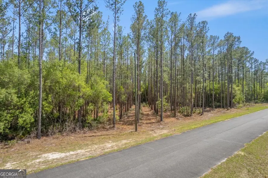 LOT 22 Heritage Way, Hortense, GA 31543 - #3