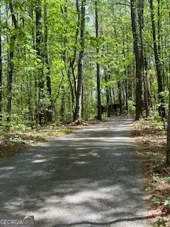 1301 Bob Hunton Road, Douglasville, GA 30134 - #2