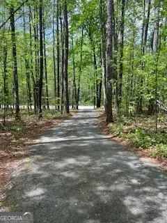 1301 Bob Hunton Road, Douglasville, GA 30134 - #3