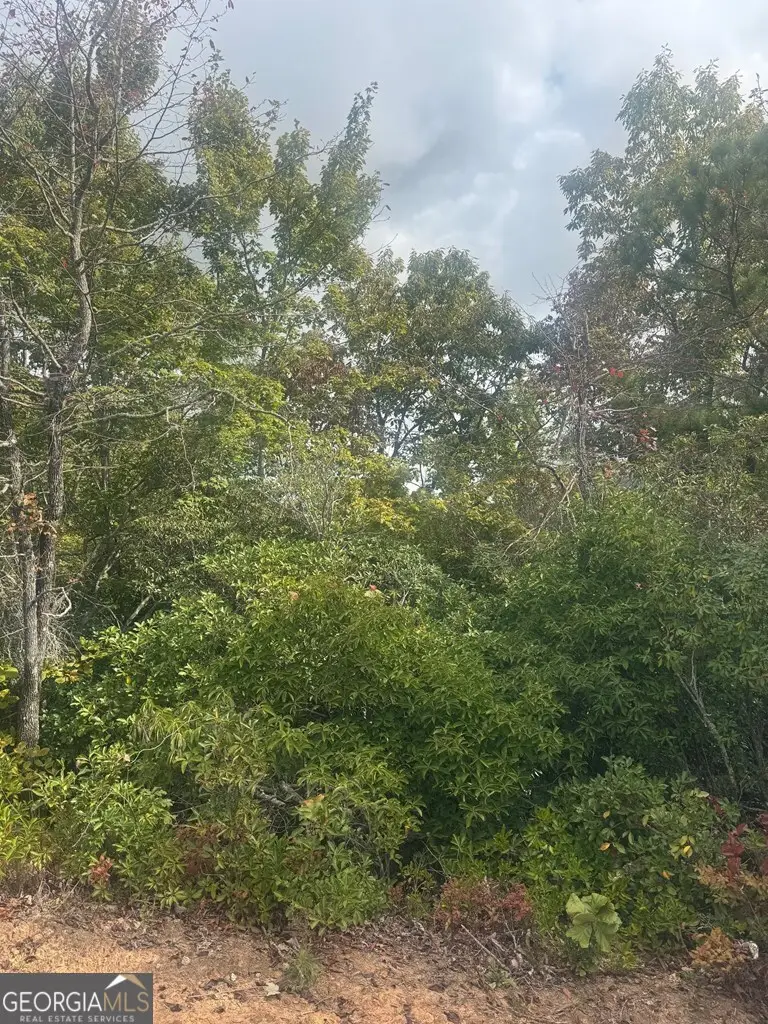 LOT 16 Brown Hawk Drive, Clayton, GA 30525 - #1