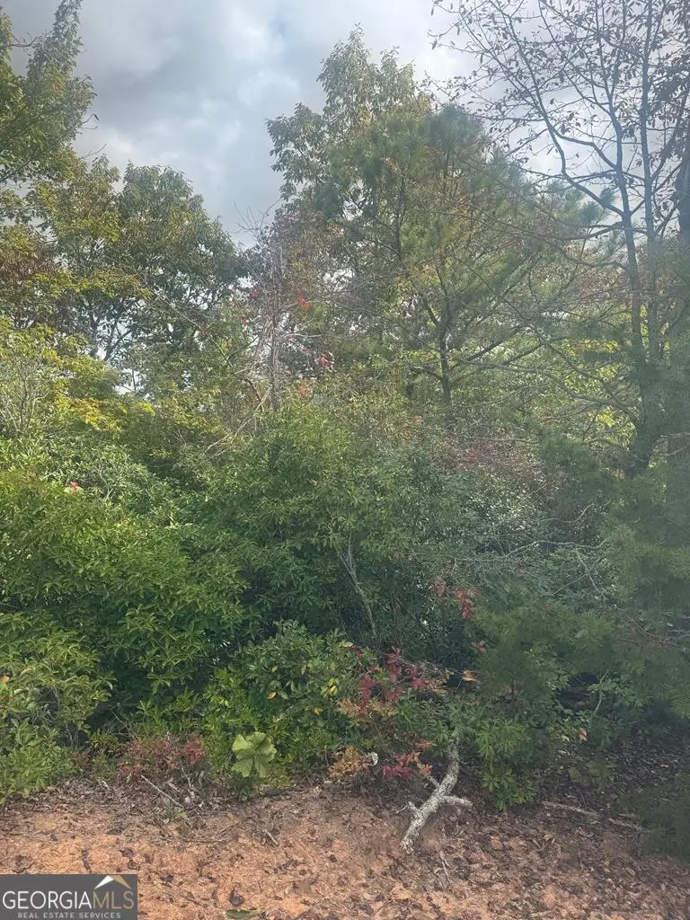 LOT 16 Brown Hawk Drive, Clayton, GA 30525 - #3