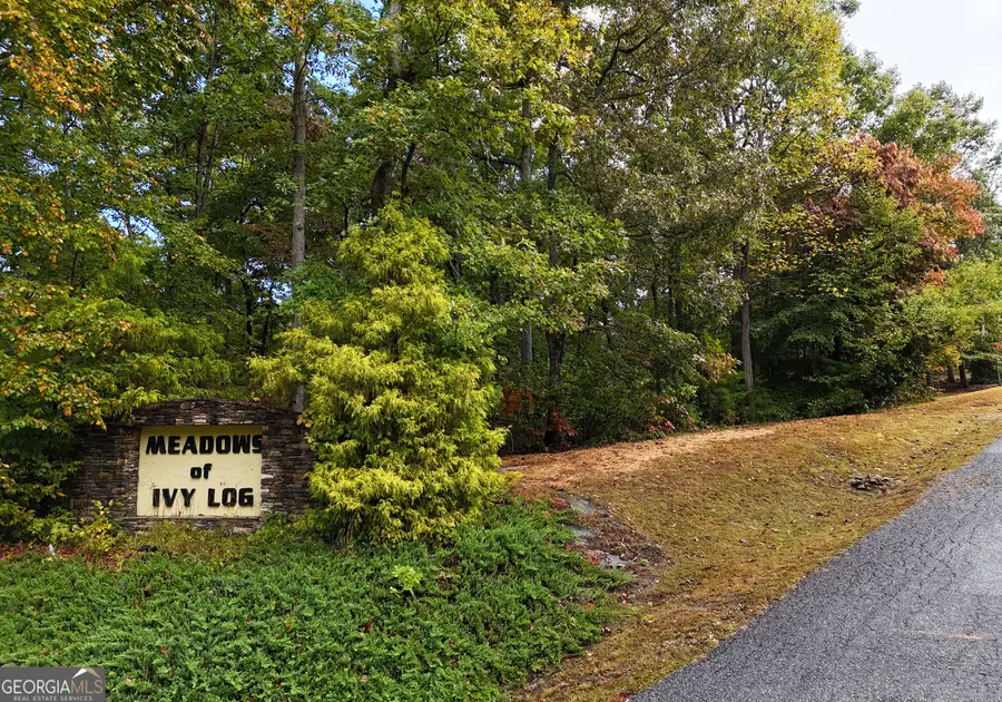 LOT 40 Ivy Meadow Lane, Blairsville, GA 30512 - #2