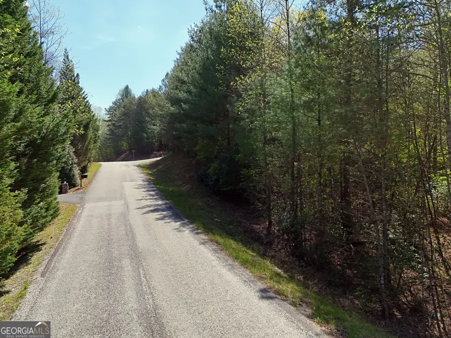 LOT 40 Ivy Meadow Lane, Blairsville, GA 30512 - #3