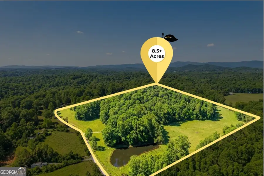 362 Horton Road, Dahlonega, GA 30533 - #3