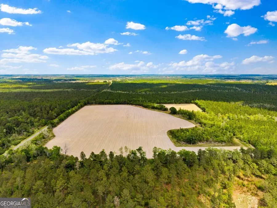 0 Minnie Gidden Road, Lenox, GA 31637 - #2