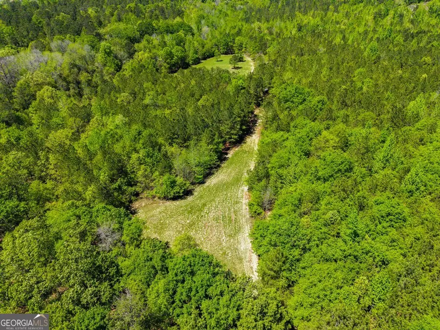 0 Wainwright Road, Butler, GA 31006 - #3