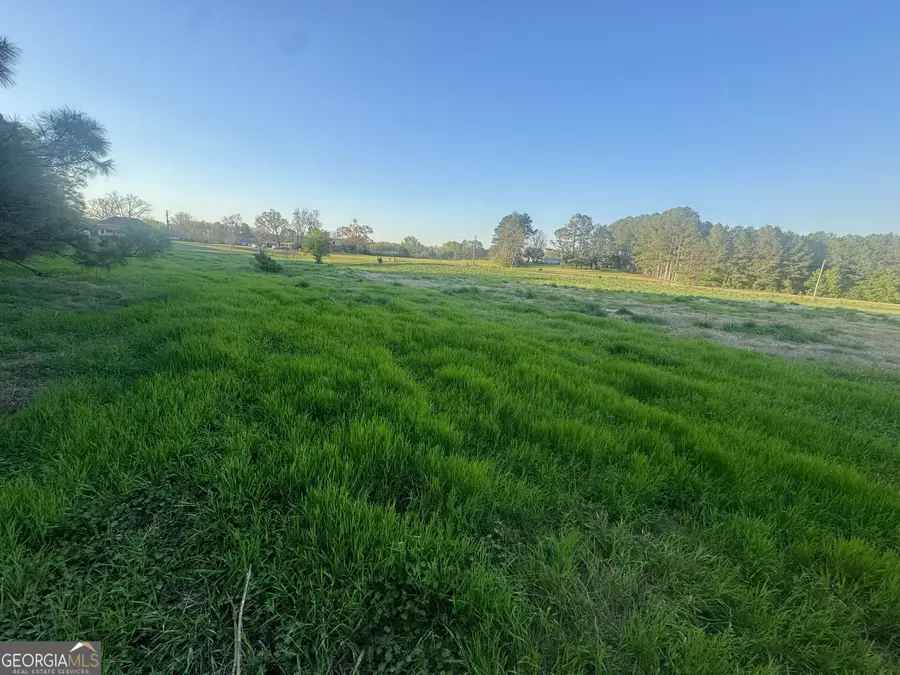 0 Thankful Road, Madison, GA 30650 - #3