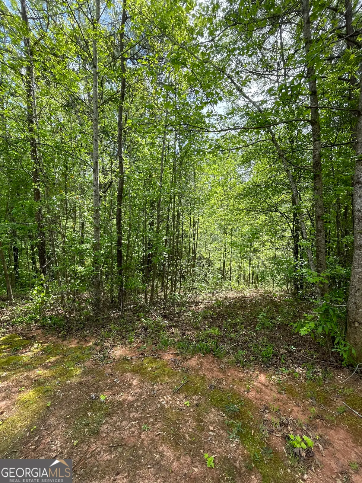 205 White Birch Drive, Covington, GA 30016 - #1