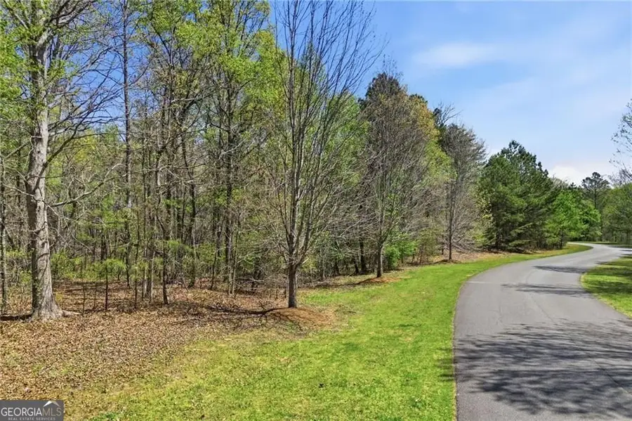 133 Heritage Plantation Drive, Ball Ground, GA 30107 - #3