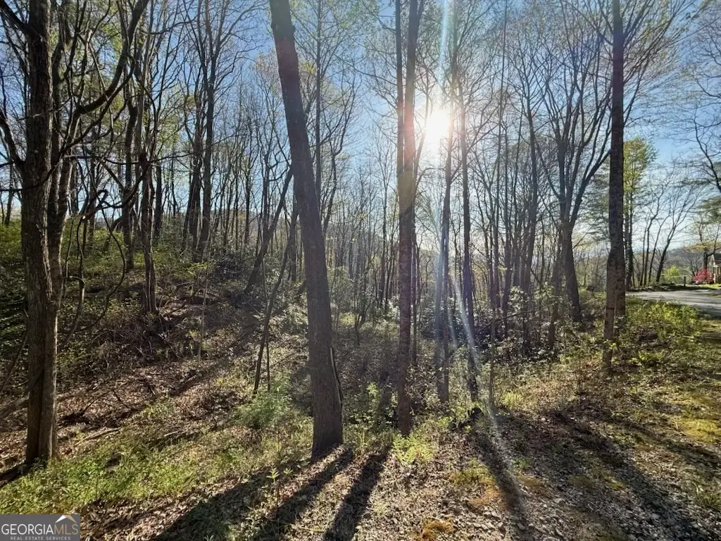 0 Thunderhead, Sky Valley, GA 30537 - #1