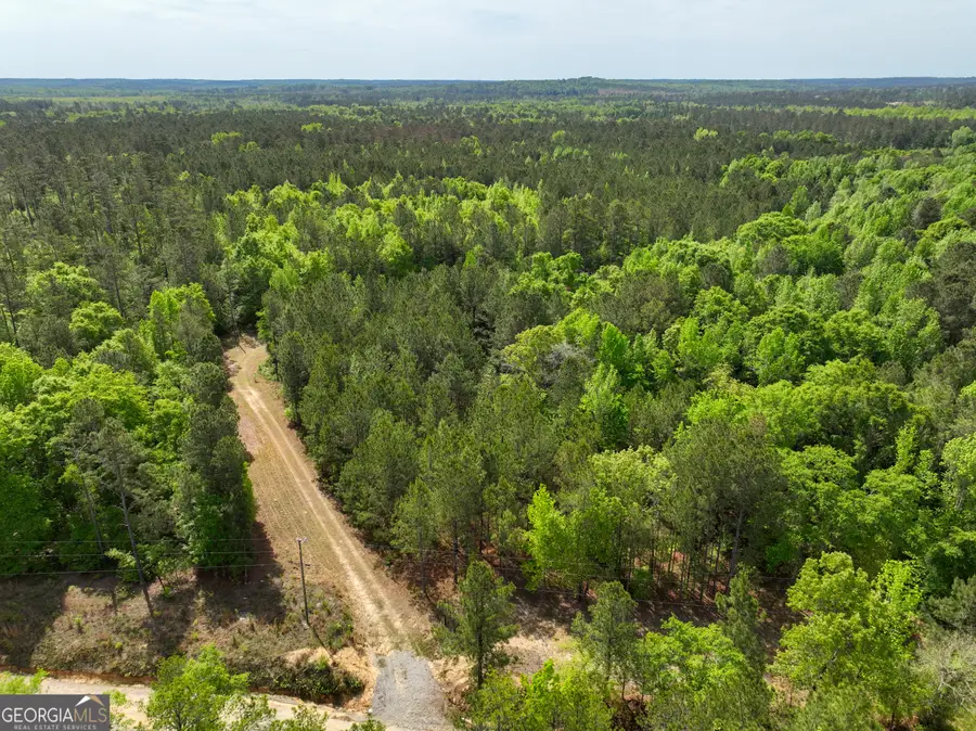 563 Bellhouse Road, Gordon, GA 31031 - #3