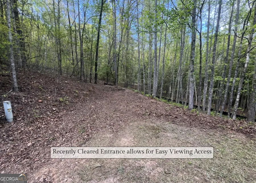 LOT 36 Heyden Ridge/ Still Road, Clarkesville, GA 30523 - #3