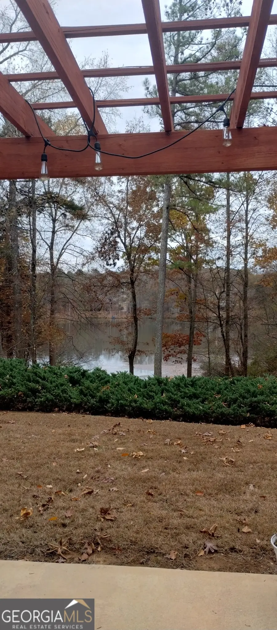 291 Cannongate Road, Sharpsburg, GA 30277 - #3